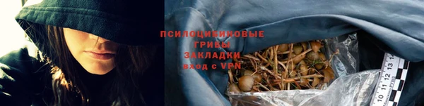 дмт Надым