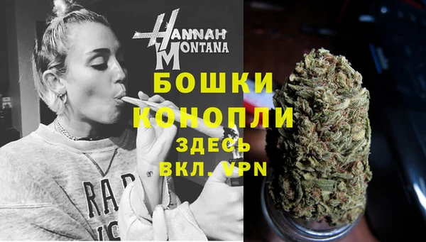 сатива Наволоки