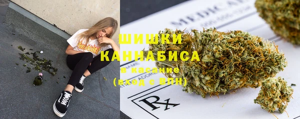 дмт Надым
