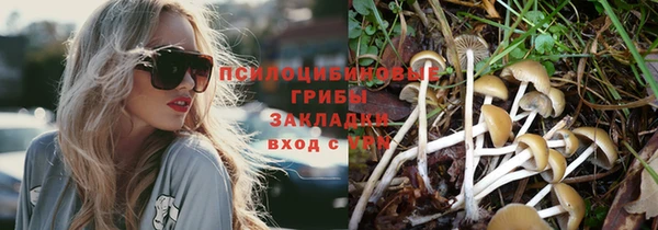 сатива Наволоки