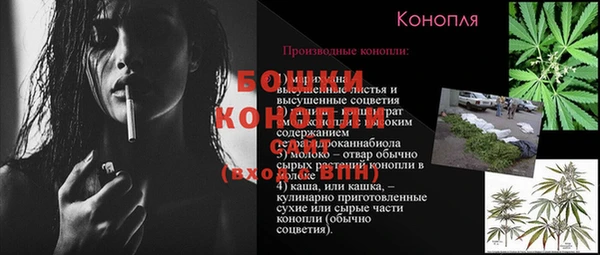 дмт Надым