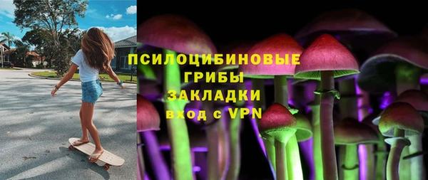 дмт Надым