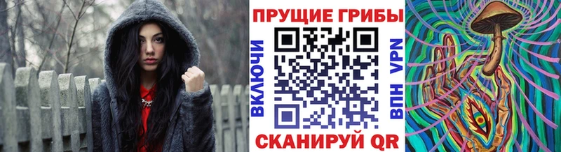 Псилоцибиновые грибы Psilocybe  как найти закладки  Нижняя Тура 
